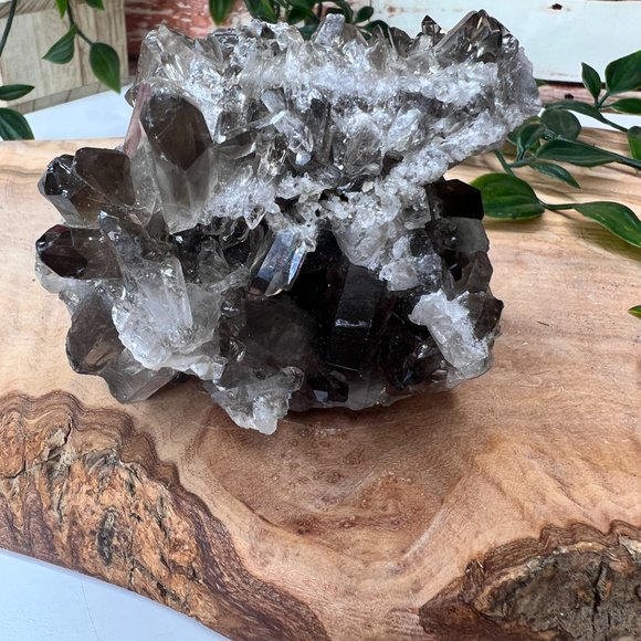 1 lb Double Sided Raw Smoky Quartz Crystal Cluster - A+ Collector Quality - Picture 3 of 13